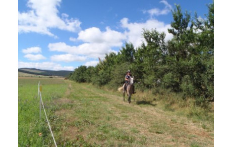 UZMIR AL DHAKIR à FLORAC